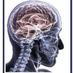 NatNeuroComp (@natneurocomp) Twitter profile photo