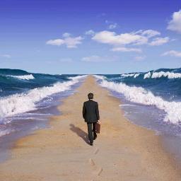 Atlettex's profile picture. Продажа и обслуживание спецтехники TYM, Kubota, Mustang, Bobcat, Haulotte, Kramer, Wacker Neuson, AVANT, Multione, Hanix, Faresin, Dieci, Mc Clockey