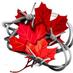 Gregg Centre (@greggcentre) Twitter profile photo Gregg Centre (@greggcentre) Twitter profile photo