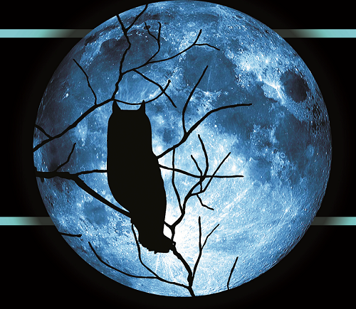 INSOMNIA CLUB, Entretenimiento Nocturno para los Apasionados de la BUENA Fiesta, Música y Drinks en Tuxtla Gutierrez.