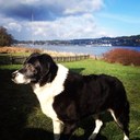 Patrick files - @patradish - Twitter