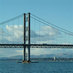 Fife News Online (@fife_news) Twitter profile photo Fife News Online (@fife_news) Twitter profile photo