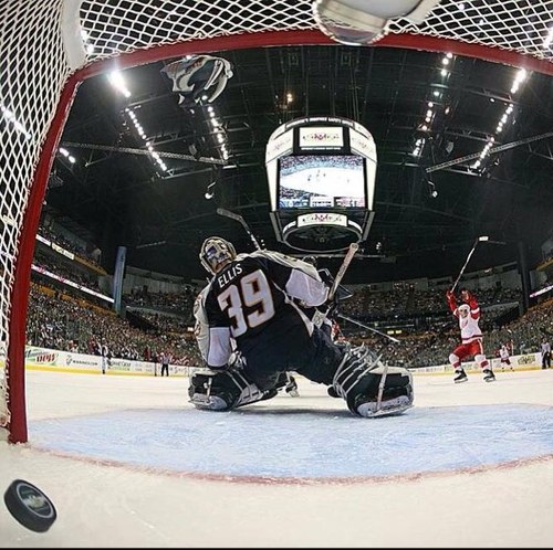 MickGta's profile picture. Currently working for Pro Hockey News as a photojournalist and enjoy taking photos in my spare time.