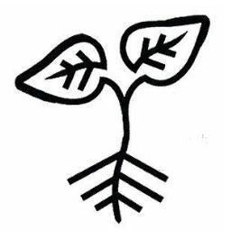 A growing community of people who are investigating the potential of open access commons use, through local food production.