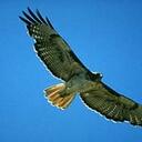 Elaine Larson - @larsonel - Twitter