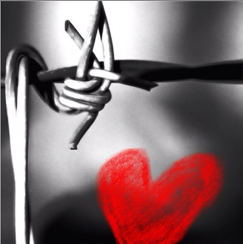 Paining8's profile picture. Do not expect anything and do not wait something , things come coincidence