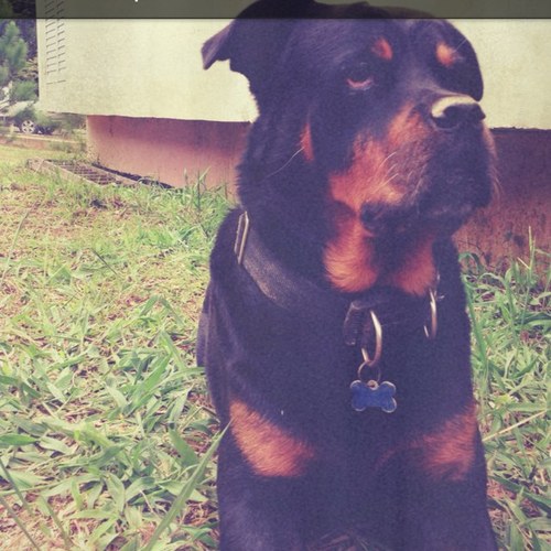 edelstein09's profile picture. 