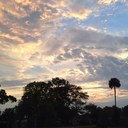 Heather Vick - @vick1227 - Twitter