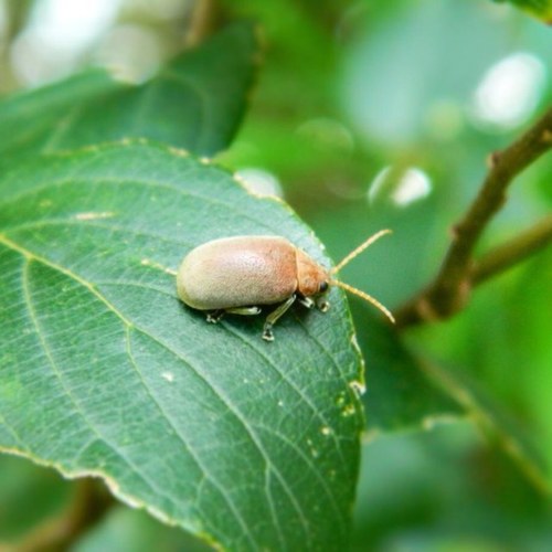 WorbingtonR's profile picture. Lackadaiscal Librarian & Mother. Amateur at most things in life.