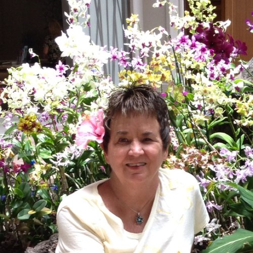 maridygalioto's profile picture. 