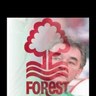 foresteddie's profile picture. Forest, Golf, F1