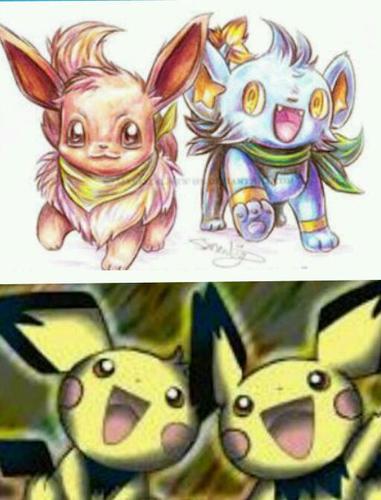 S:hi I'm spark the shinx(Female)!E:I'm eve..the eevee(Female)B:I'm bolt...F:I'm flash B+F:we are the pichu brothers!