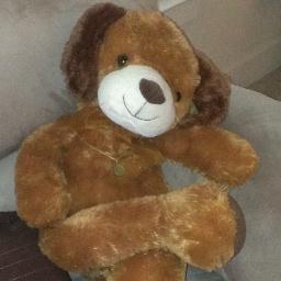 MartinDog44's profile picture. I like #Fun #Sports #Bones #Travel #Jokes/ I also like to bite #bankers & #politicians after a #doggy bowl full of #baileysirishcream and #MarlyCoffee