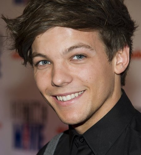 we are going to give one direction the perfect erection