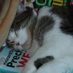 canadianoma's profile picture. 