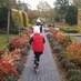 debbie p (@debbiepullinger) Twitter profile photo