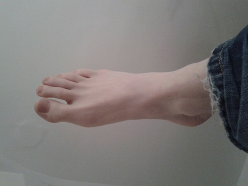 bloc__notes's profile picture. Pastilles littéraires