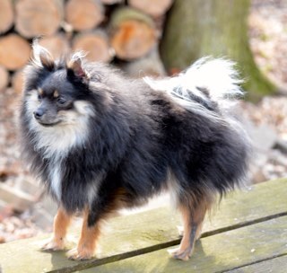 collins9000's profile picture. 