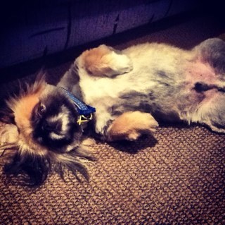 Thomas7nz's profile picture. Les Mills Personal Trainer