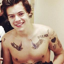 BoyDirectioner, BoyLieber, BoySeleneitor ... Ah, e feio u.u