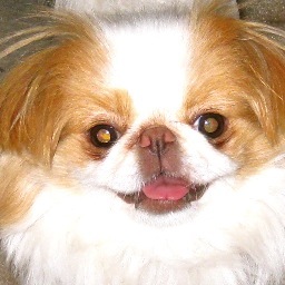 wheelsnana's profile picture. 