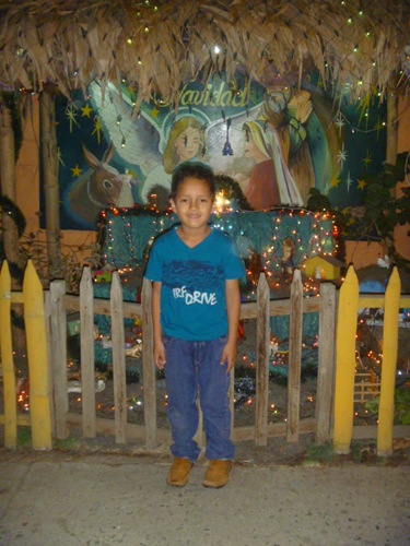 david
