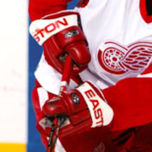 We are the magic behind Pavel Datsyuk, he thinks of the dangle and we make it happen. 4-14-13 Contact us at datsyuksmitts13@gmail.com