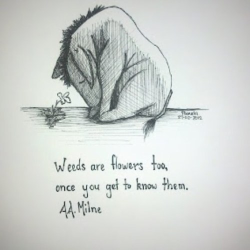 I'm here to help those who are struggling.