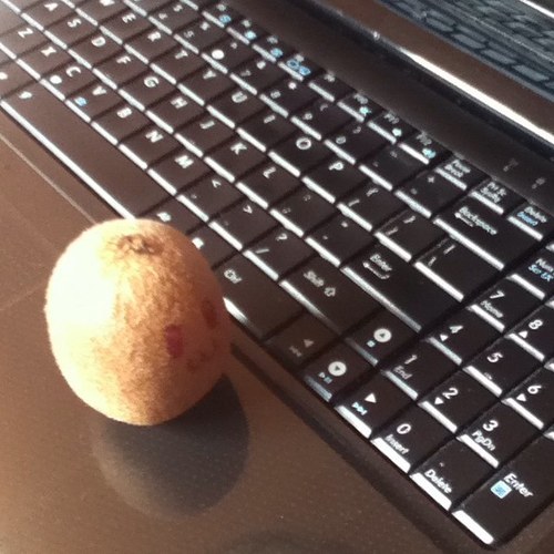 kiwithoughts Profile Picture