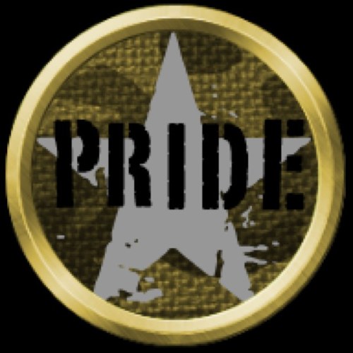 Pride N4tion is a Call Of Duty Elite Black Ops 2 clan. We have past level 10 so we have golden clan tag. We have 20+ members. Our clan KD is over 1.00.