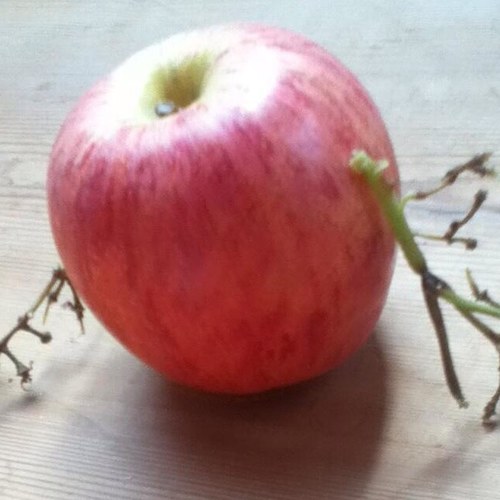Just an apple wid arms