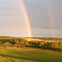 Cara Schueller (@caramcs) 's Twitter Profile