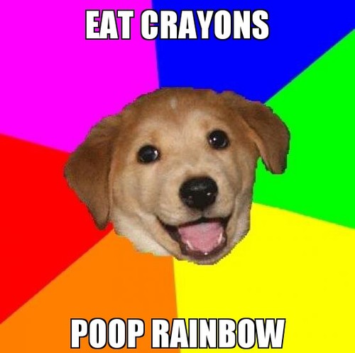 dogdaily123's profile picture. i have all stuff about dogs!