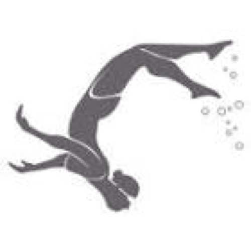 CommonSwimer's profile picture. 