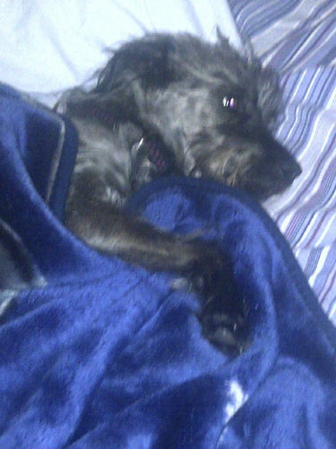 jinxandrews's profile picture. Boring