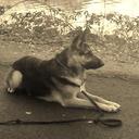 Rob Farris - @RobKevlar - Twitter