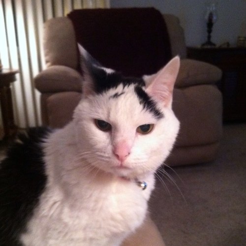 straight_sue's profile picture. Legal Secretary. Avid reader, Nascar fan (Jr. Nation). Browns.