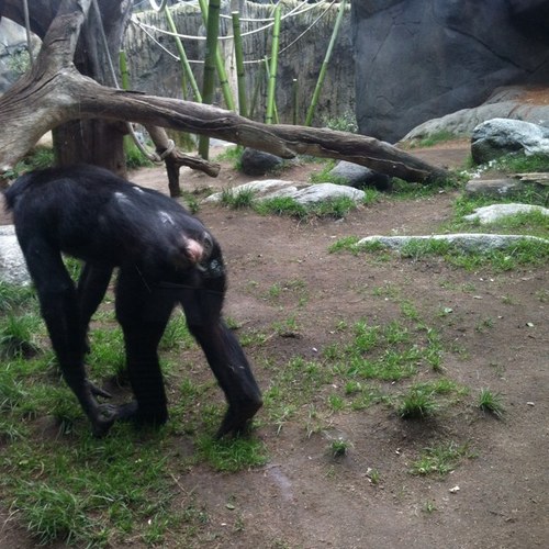 criscione19's profile picture. 