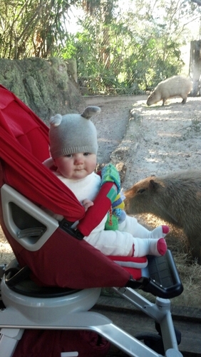 kent32224's profile picture. 