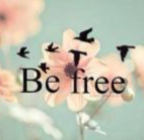 KrosieOrr's profile picture. 