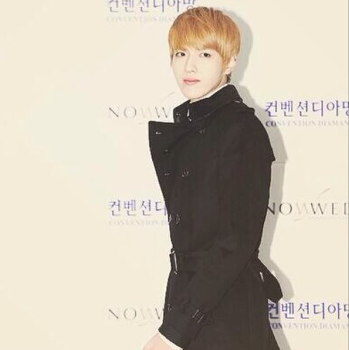EXO-M 리더 크리스군의 원조 봇 입니다 (*크리스군과 관련있는 봇분들만 맞팔해드립니다, 중복봇 허용하지 않습니다 싱크지적 받습니다.)I'm not real Kris (90.11.06/ 12.1.30)