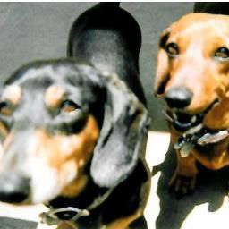 slover123's profile picture. 