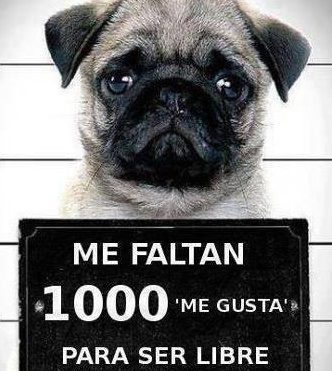 locuranosafecta's profile picture. tengo una pagina en facebook con el mismo nombre la locura nos afecta aqui les deo el link :http://t.co/Kac6aAcyRr y no se olviden de segirme