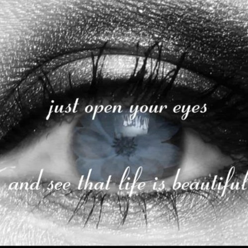 noour1221's profile picture. 