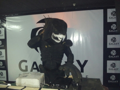 enjoyzc's profile picture. 