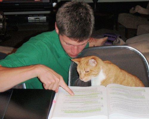living the dream...