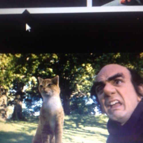 asrrael141's profile picture. Anti mamertos,
La izmierda ni pa voltear, el socialismo es el peor cancer de la historia