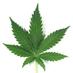 Frank Rastaman (@frankrastaman) Twitter profile photo