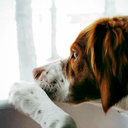 Lorena Deleón - @deleon_lorena - Twitter