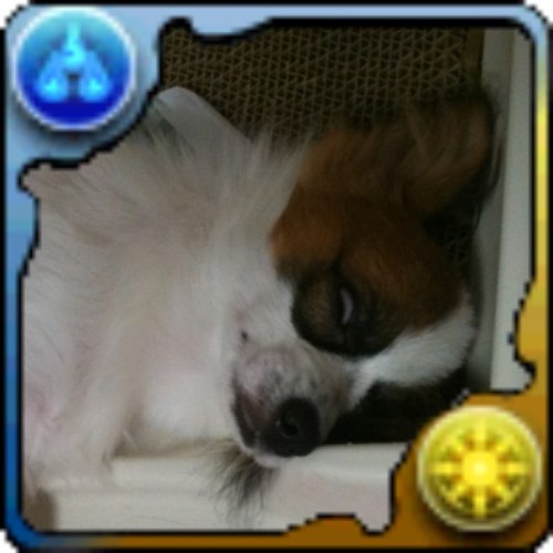 犬のぽちくりが本体です。hearthstone フレ申請、観戦、対戦ご自由に！ potikuritaro#1660 ゆるふわHSコミュニティLotionBoysを展開中。https://t.co/bQza3dFl9n お気軽にご参加ください！クラクラは引退しました。